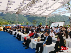 2019神性中国 文化艺术交流会在张家界武陵源启幕